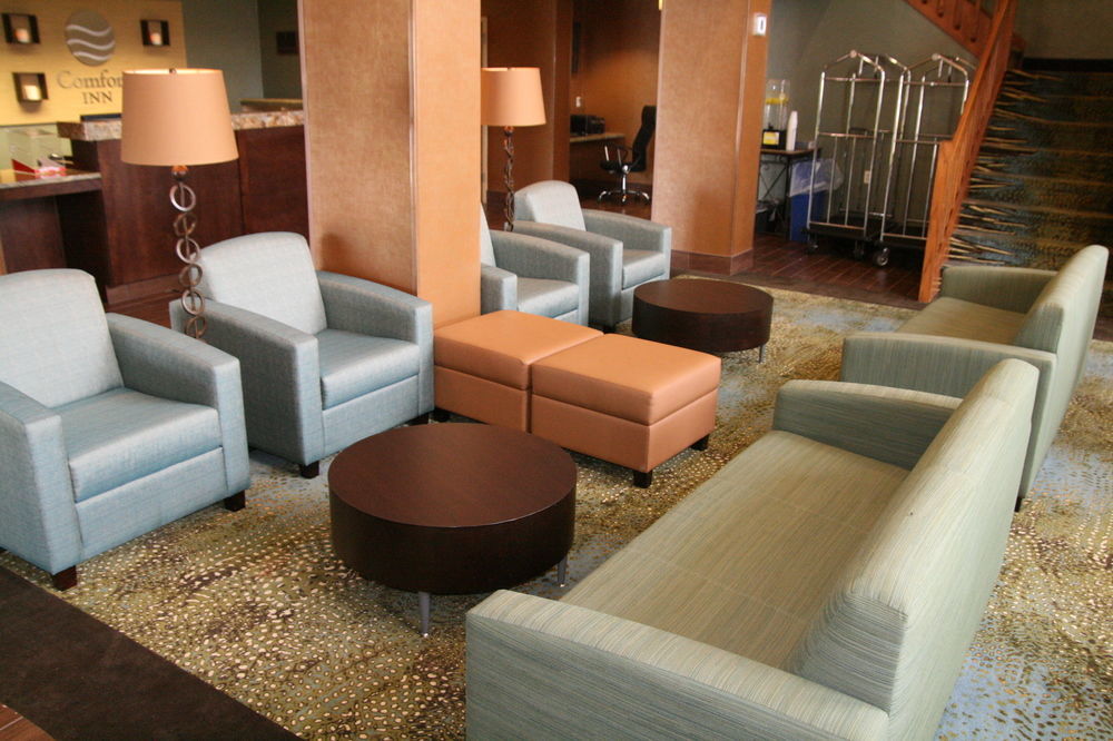 Comfort Inn Pine Grove I-81 Hershey Area Экстерьер фото